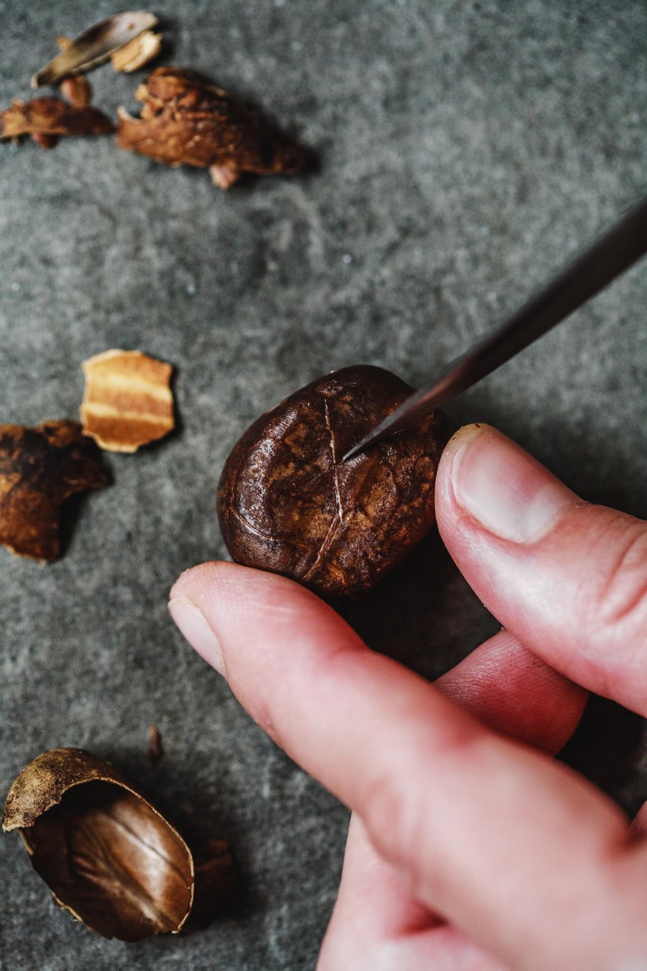 Chestnut Ice Cream