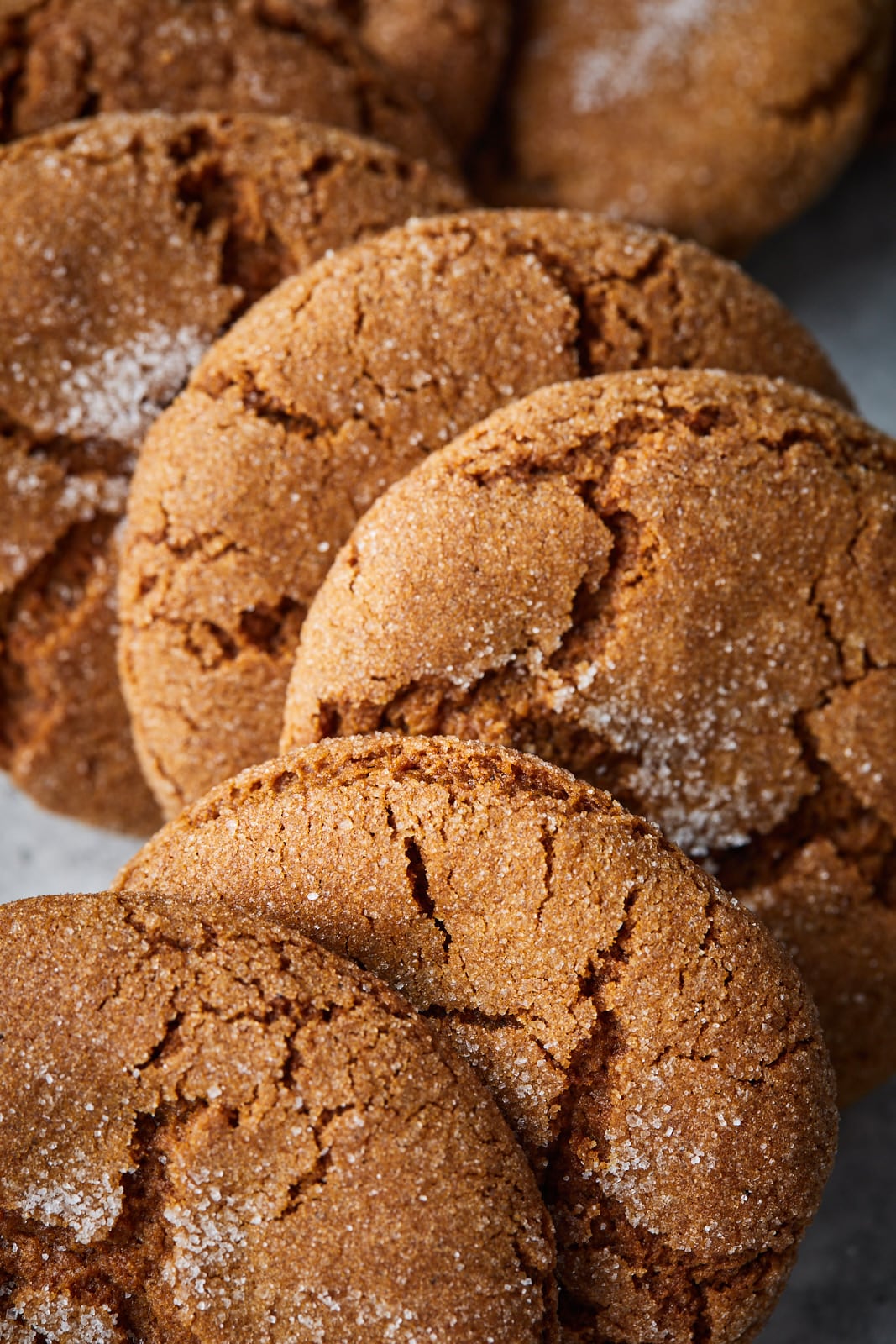 Ginger Spiced Molasses Cookies