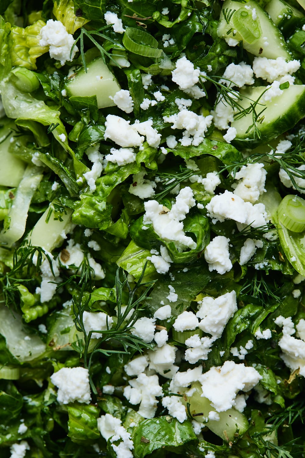 Classic Greek Lettuce Salad