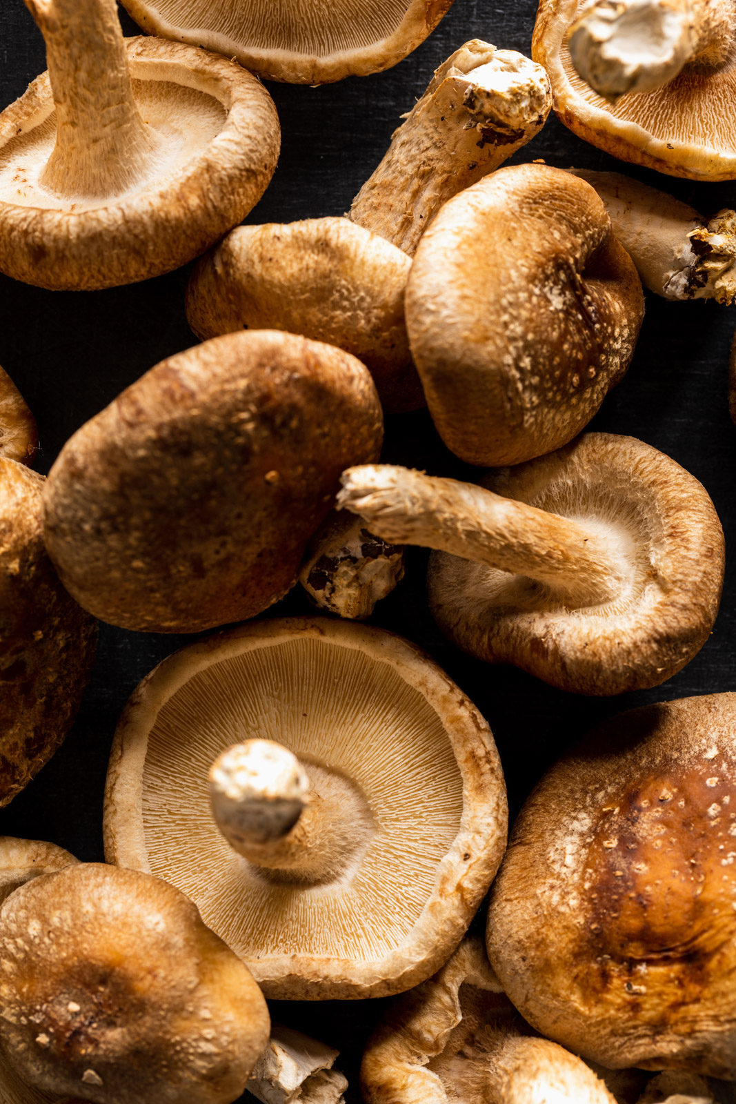 Cacio e Pepe With Mushrooms