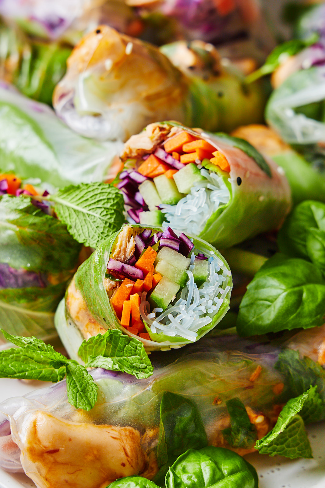 A close up of Fresh Spring Rolls With Salmon and Peanut Sauce