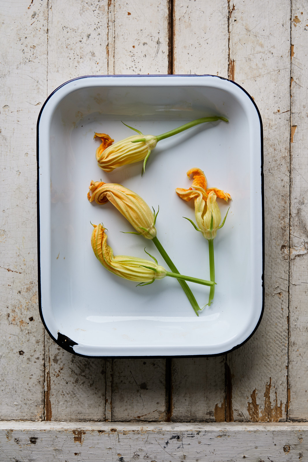 Stuffed Zucchini Blossoms