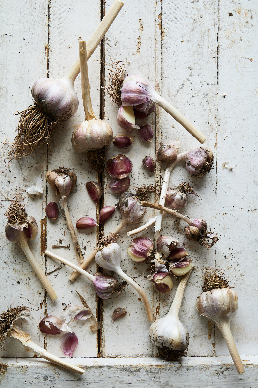 Easy Garlic Confit