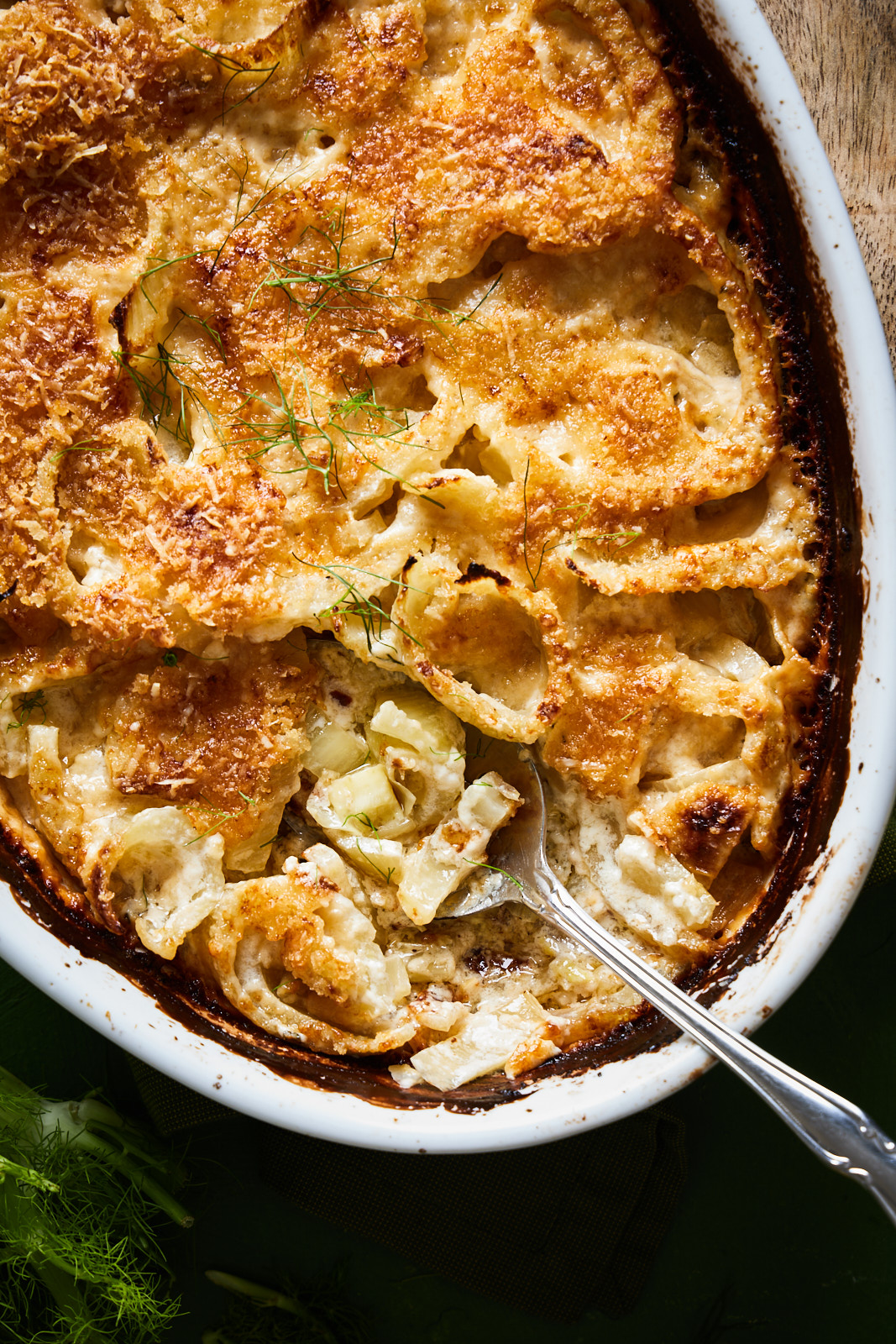 Fennel Gratin