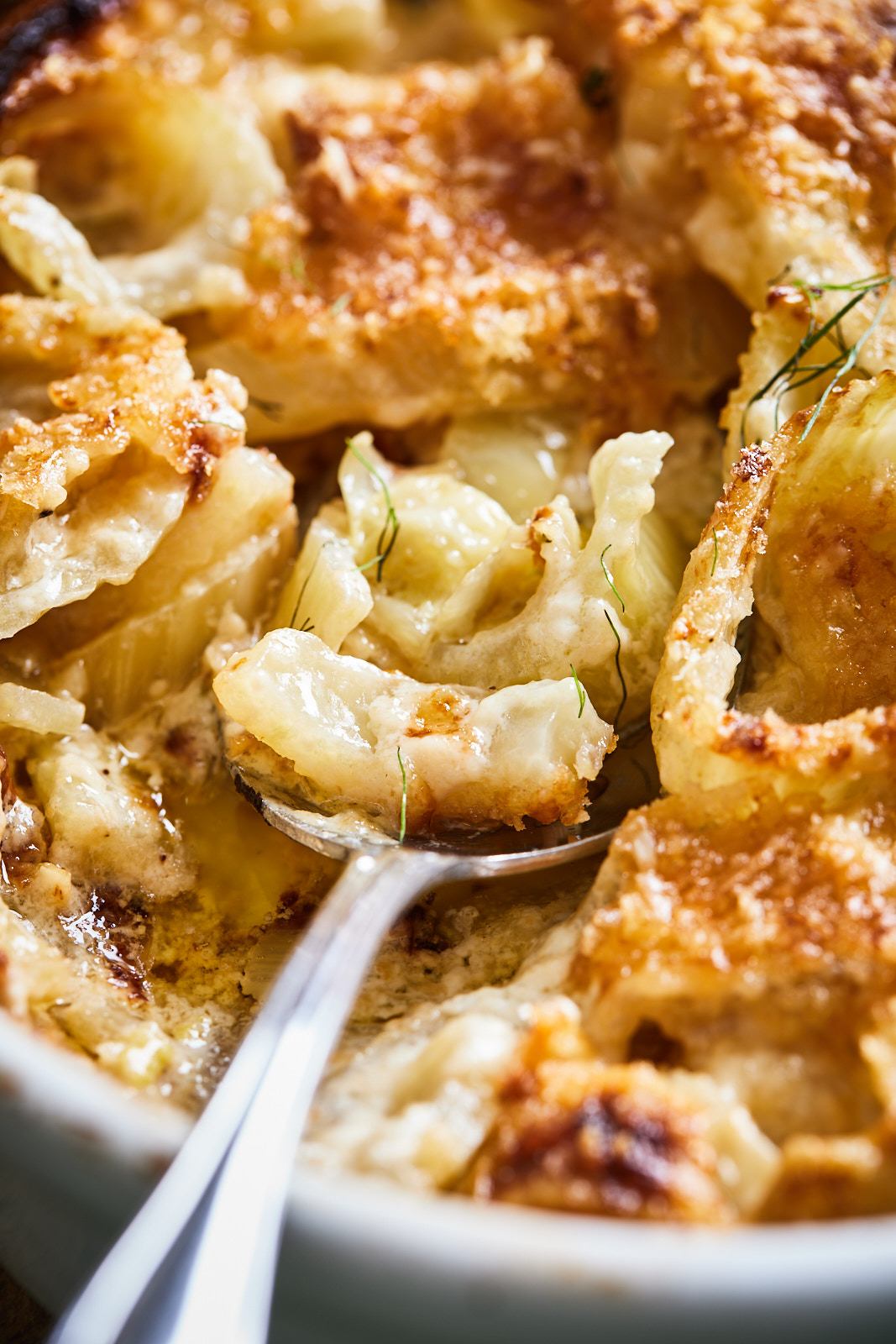 Fennel Gratin