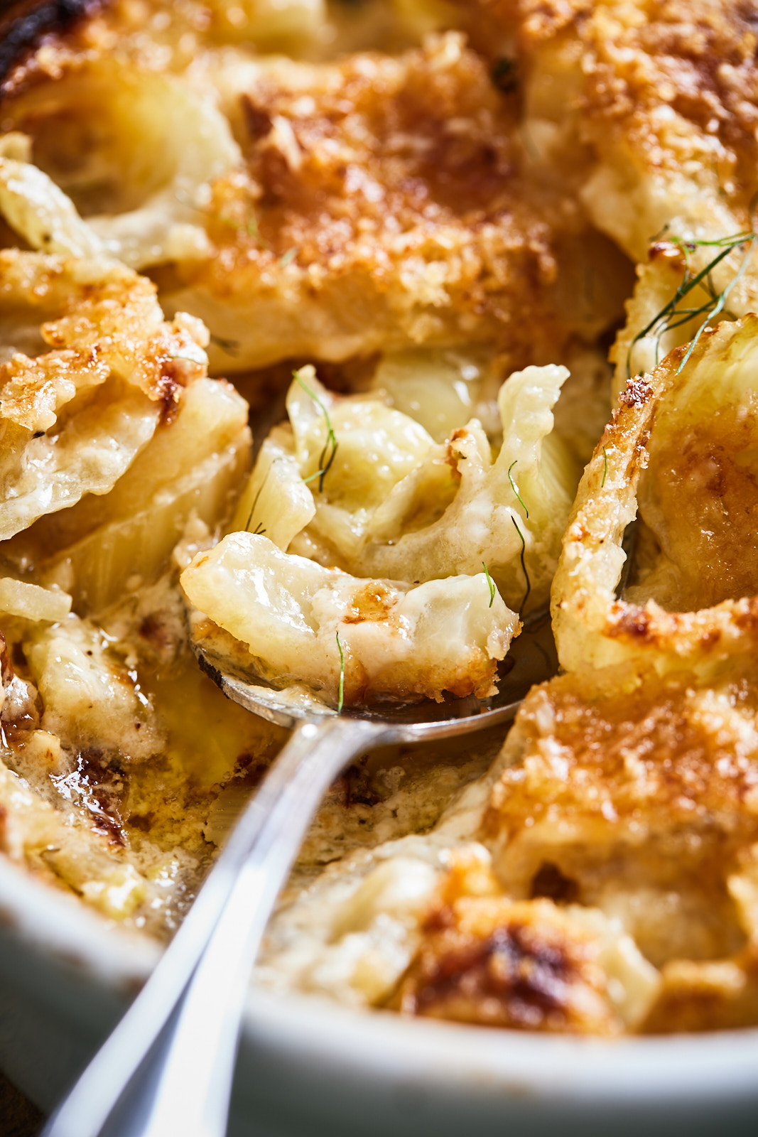 Fennel Gratin