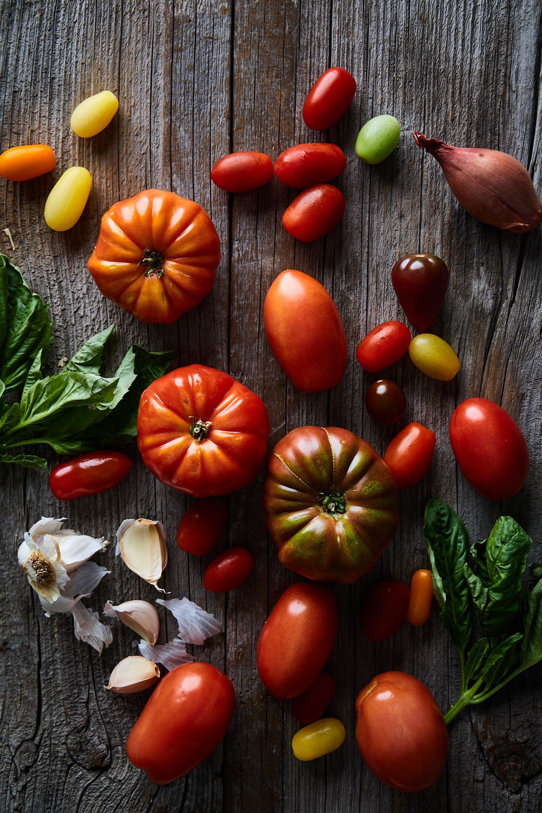 Easy Fresh Tomato Marinara