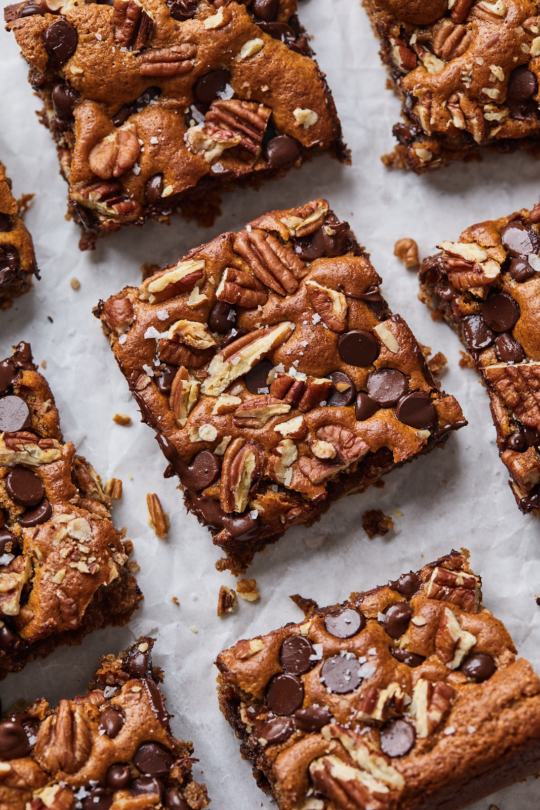 Chocolate Chip and Pecan Almond Butter Blondies