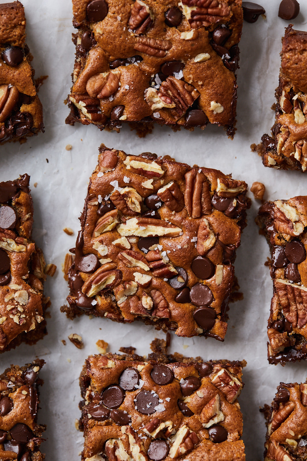 Chocolate Chip and Pecan Almond Butter Blondies