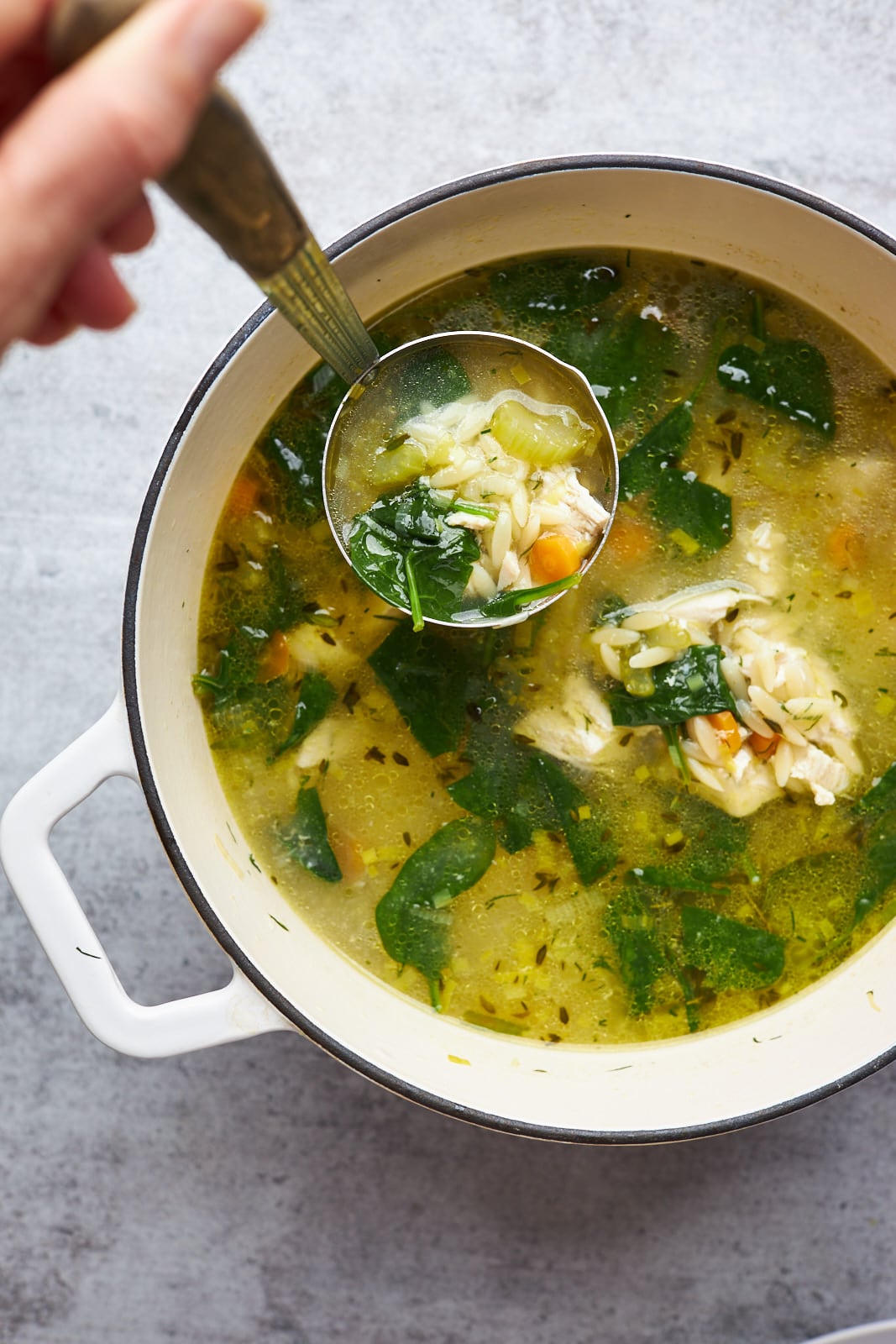 Lemon Chicken Orzo Soup