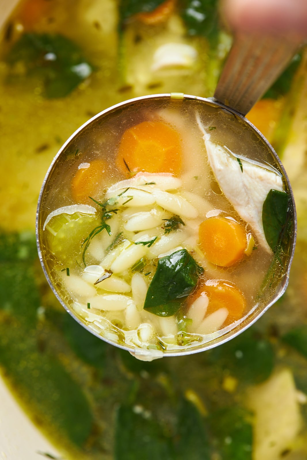 Lemon Chicken Orzo Soup