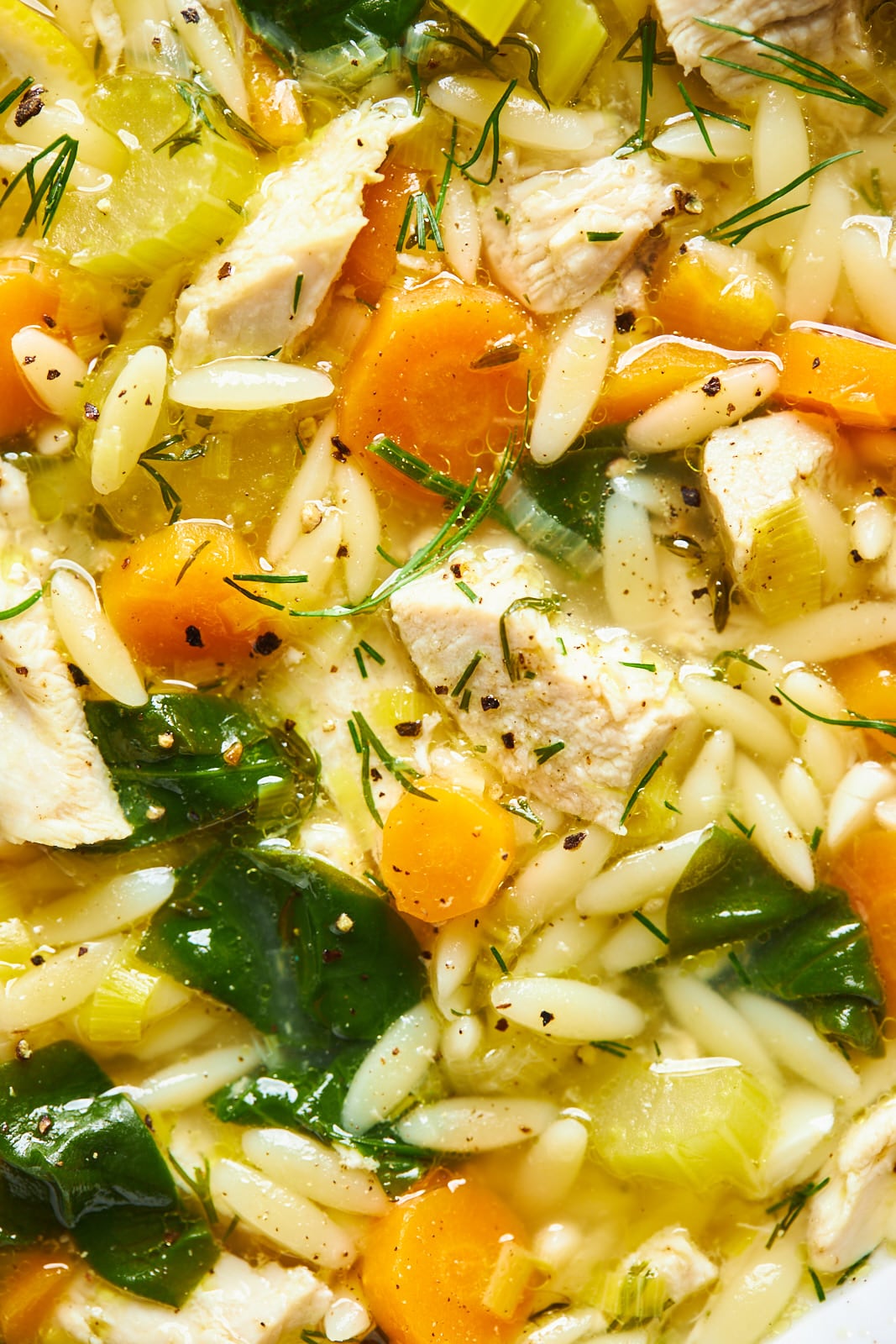 Lemon Chicken Orzo Soup