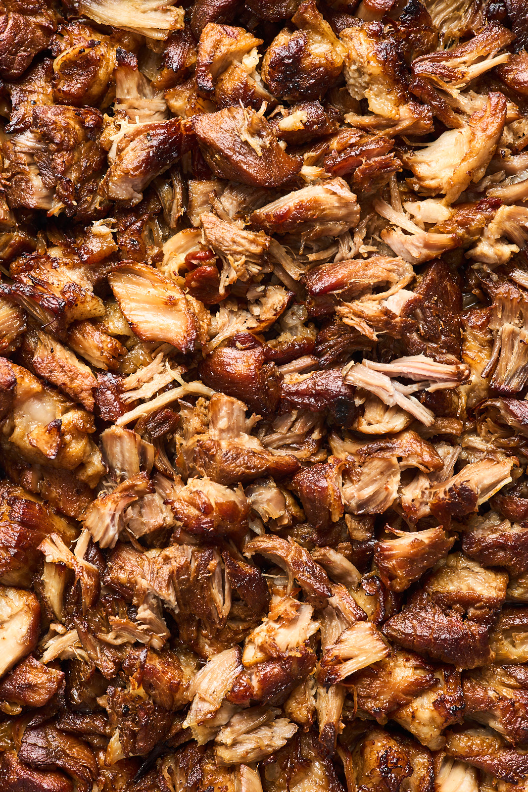 Beer Braised Pork Carnitas