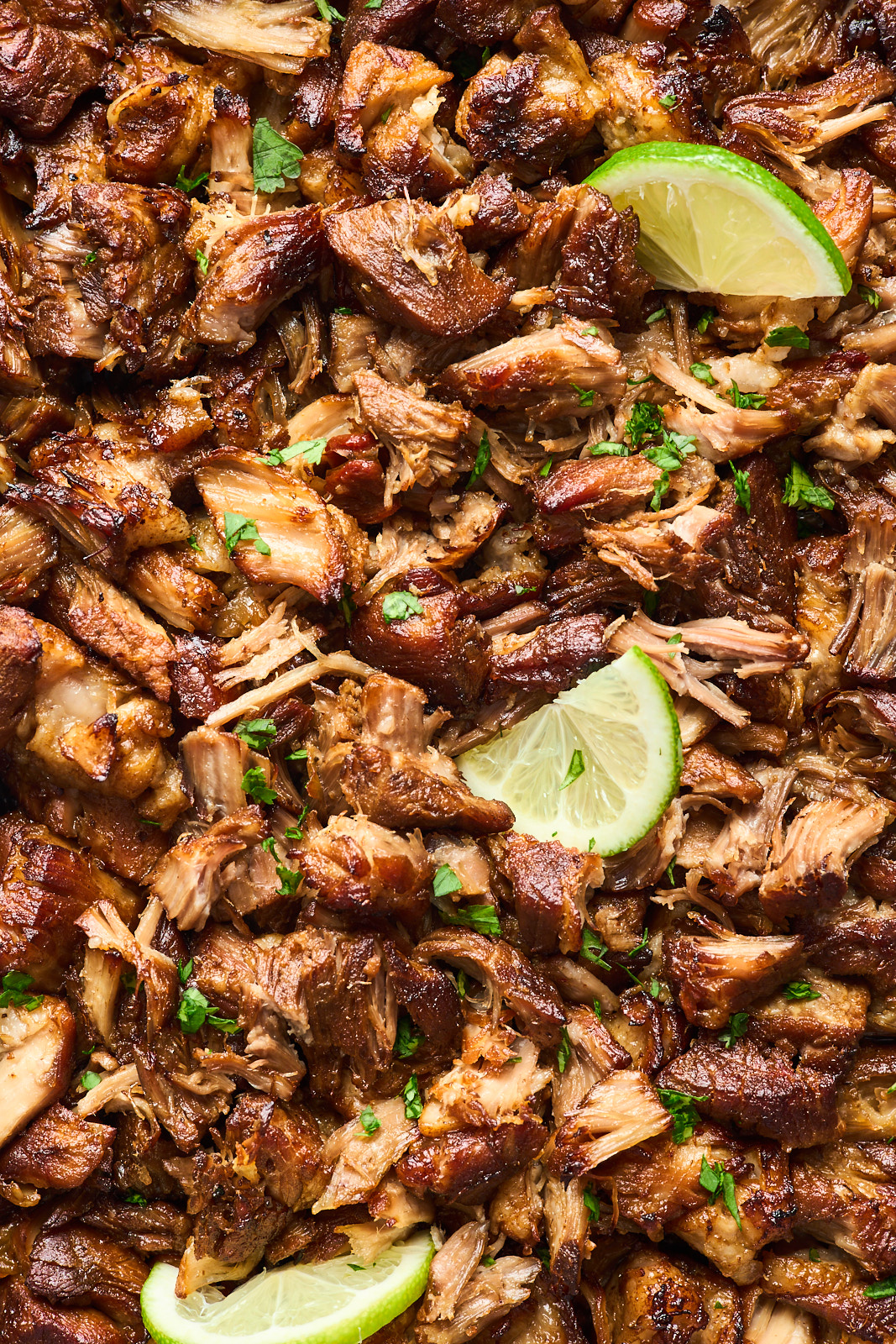 Beer Braised Pork Carnitas