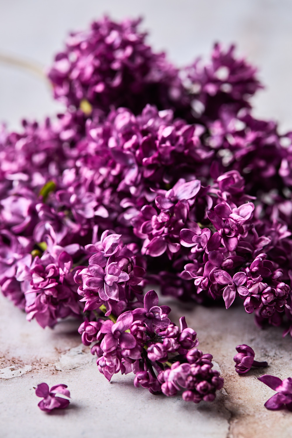 Buttermilk Honey Scones With Lilac