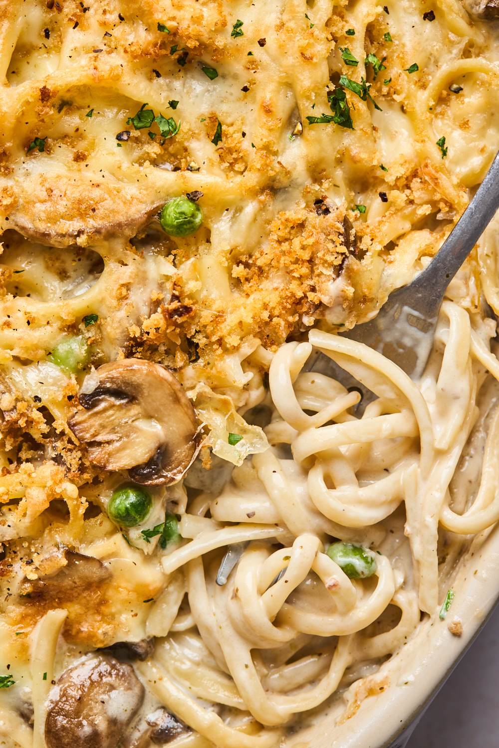 Creamy Chicken Tetrazzini