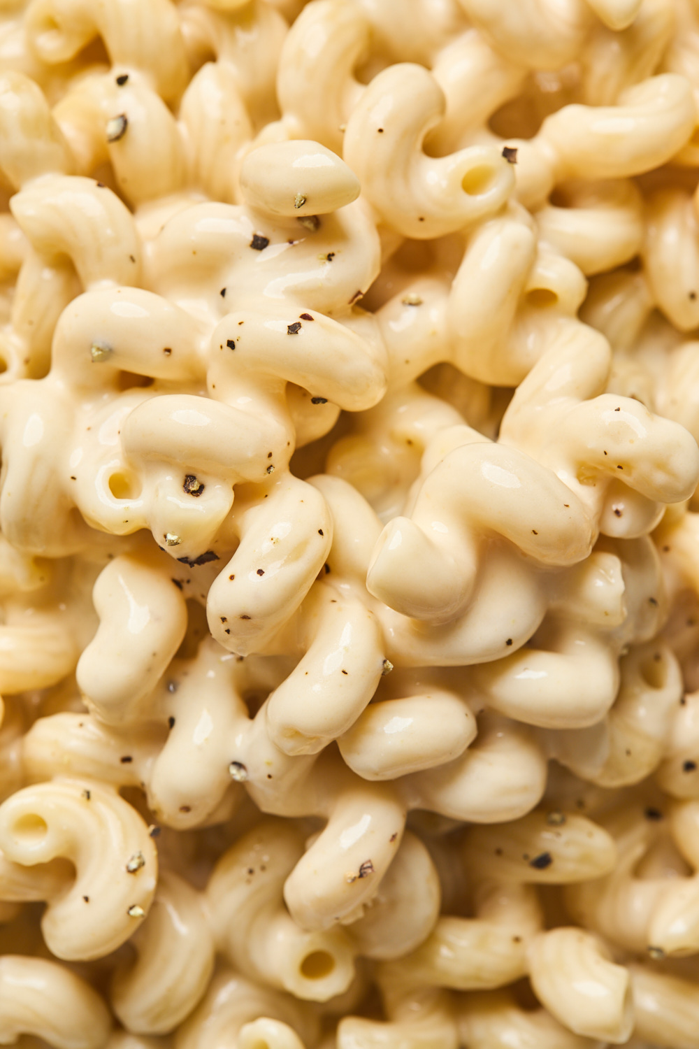 Rich and Creamy Stovetop Mac and Cheese