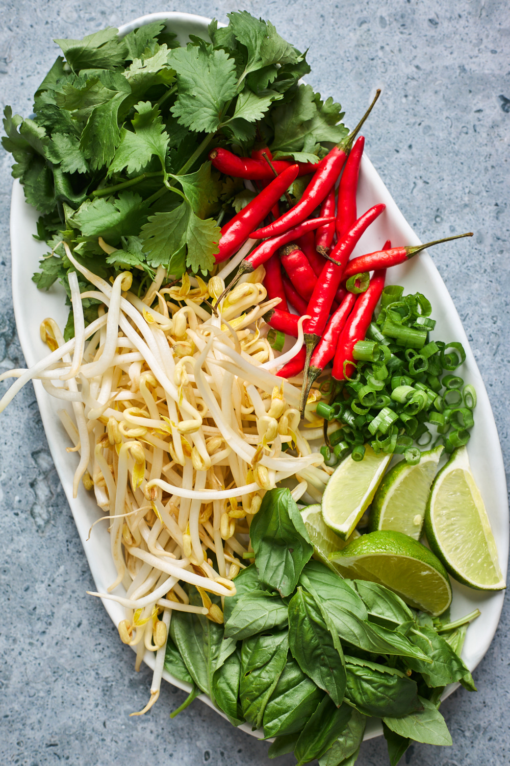 Beef Pho Noodle Soup Recipe