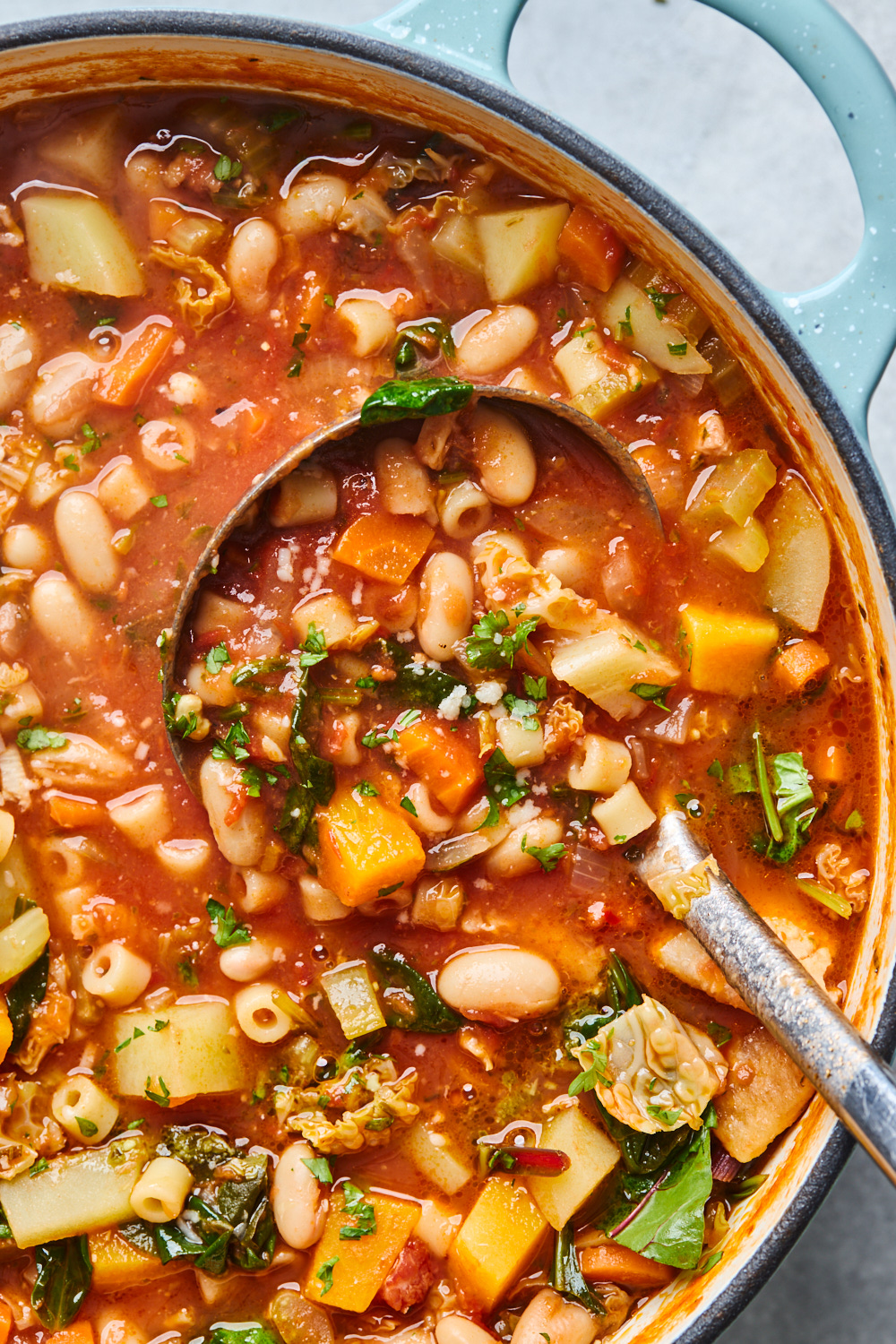 Classic Minestrone Soup