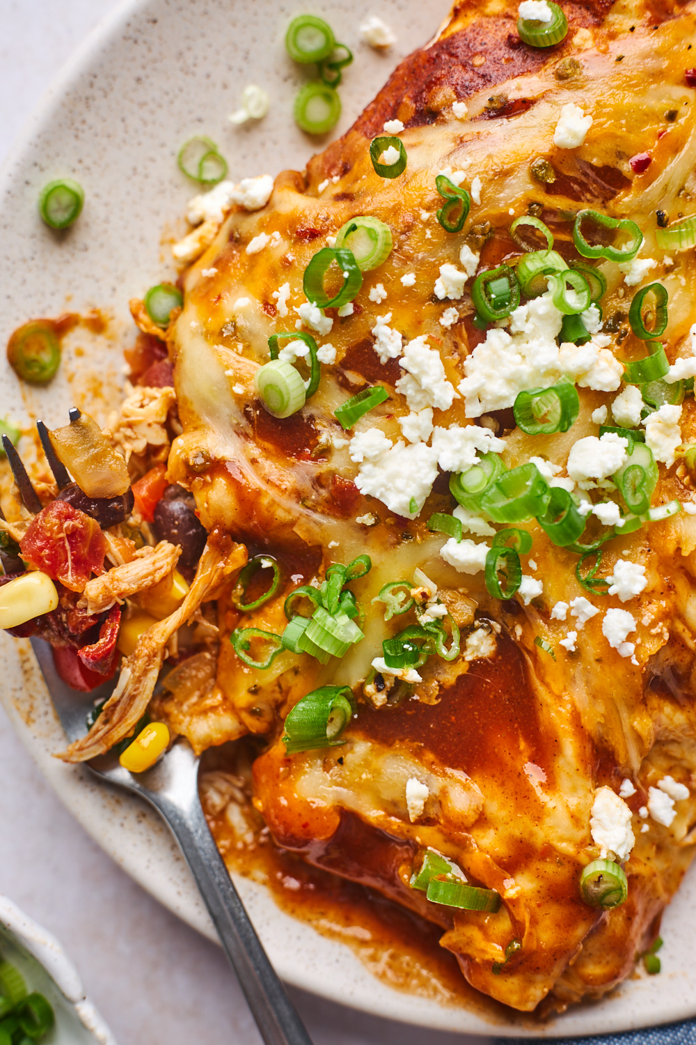 Chicken Enchiladas