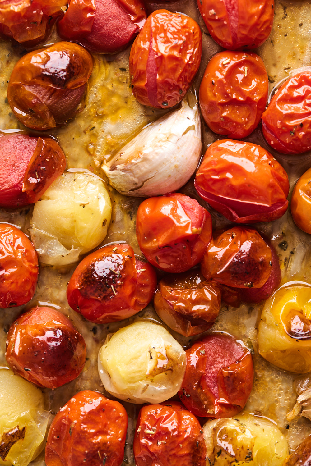 Roasted Tomatoes With Burrata