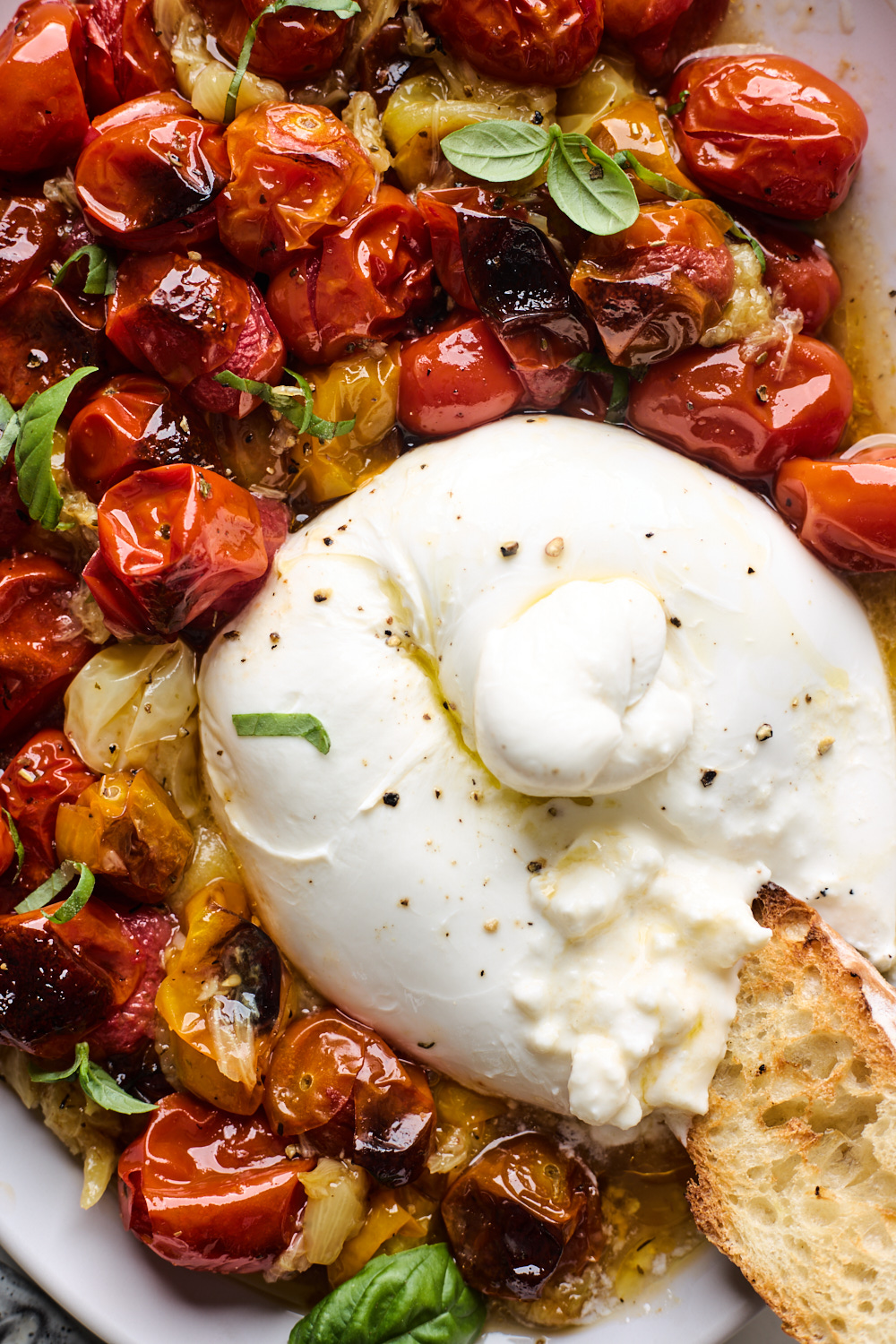 Roasted Tomatoes With Burrata