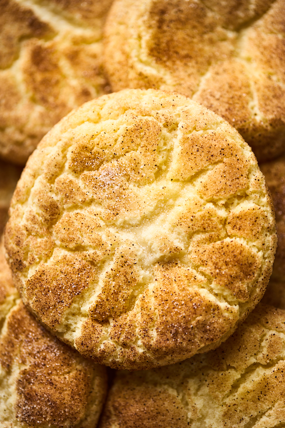 Snickerdoodle Cookies