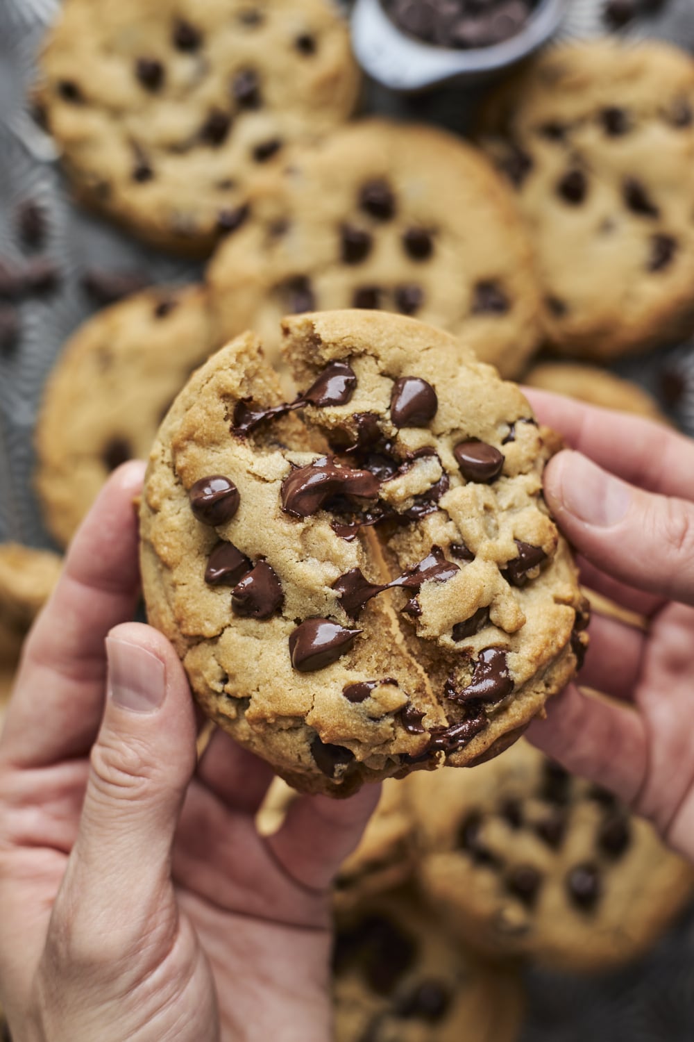 Chocolate Chip Peanut Butter Cookies