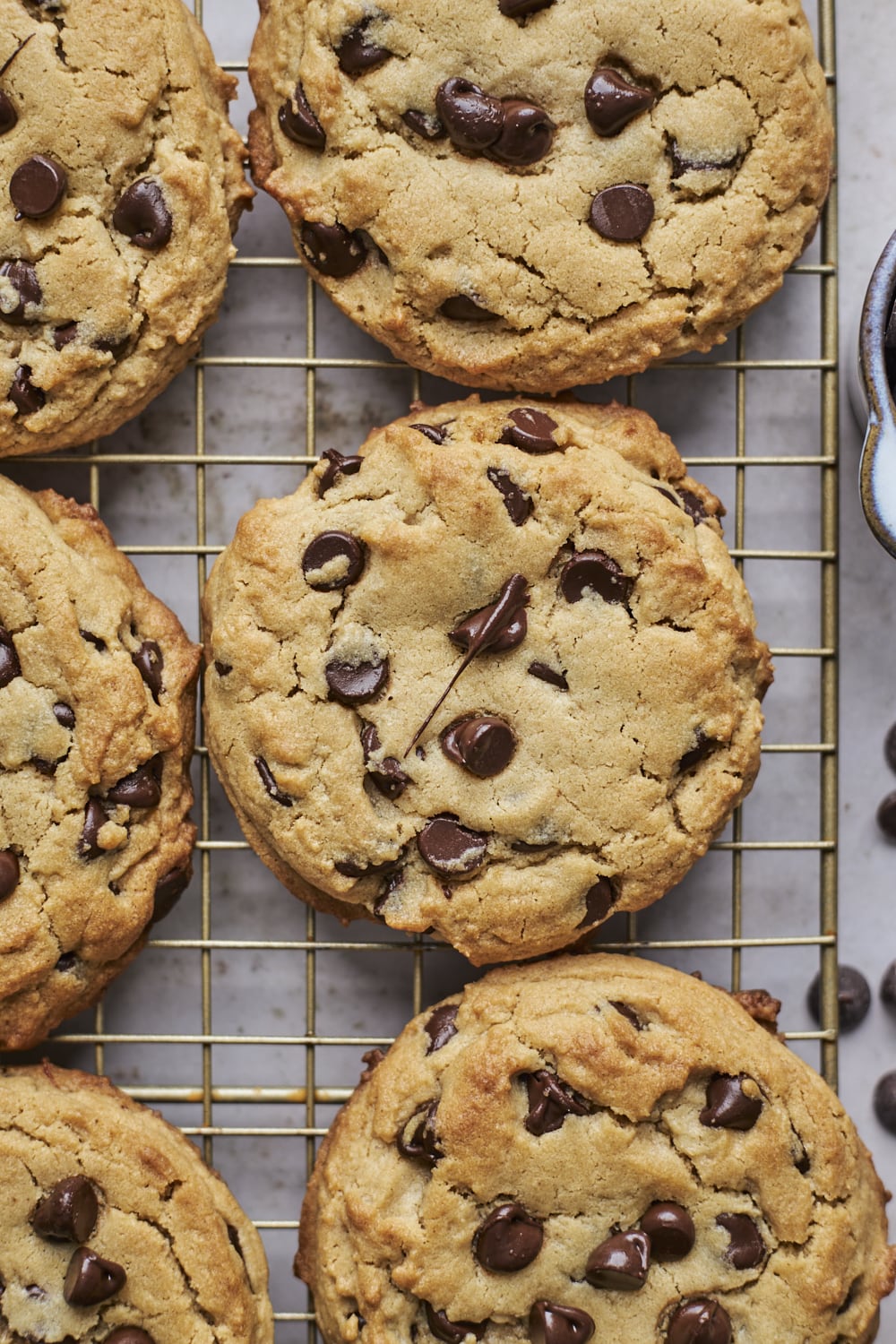 Chocolate Chip Peanut Butter Cookies