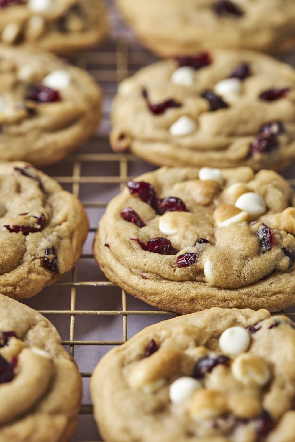 White Chocolate Cranberry Cookies