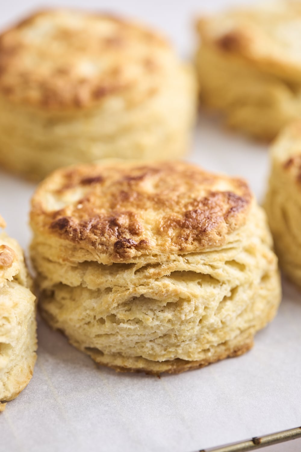 Buttermilk Biscuits