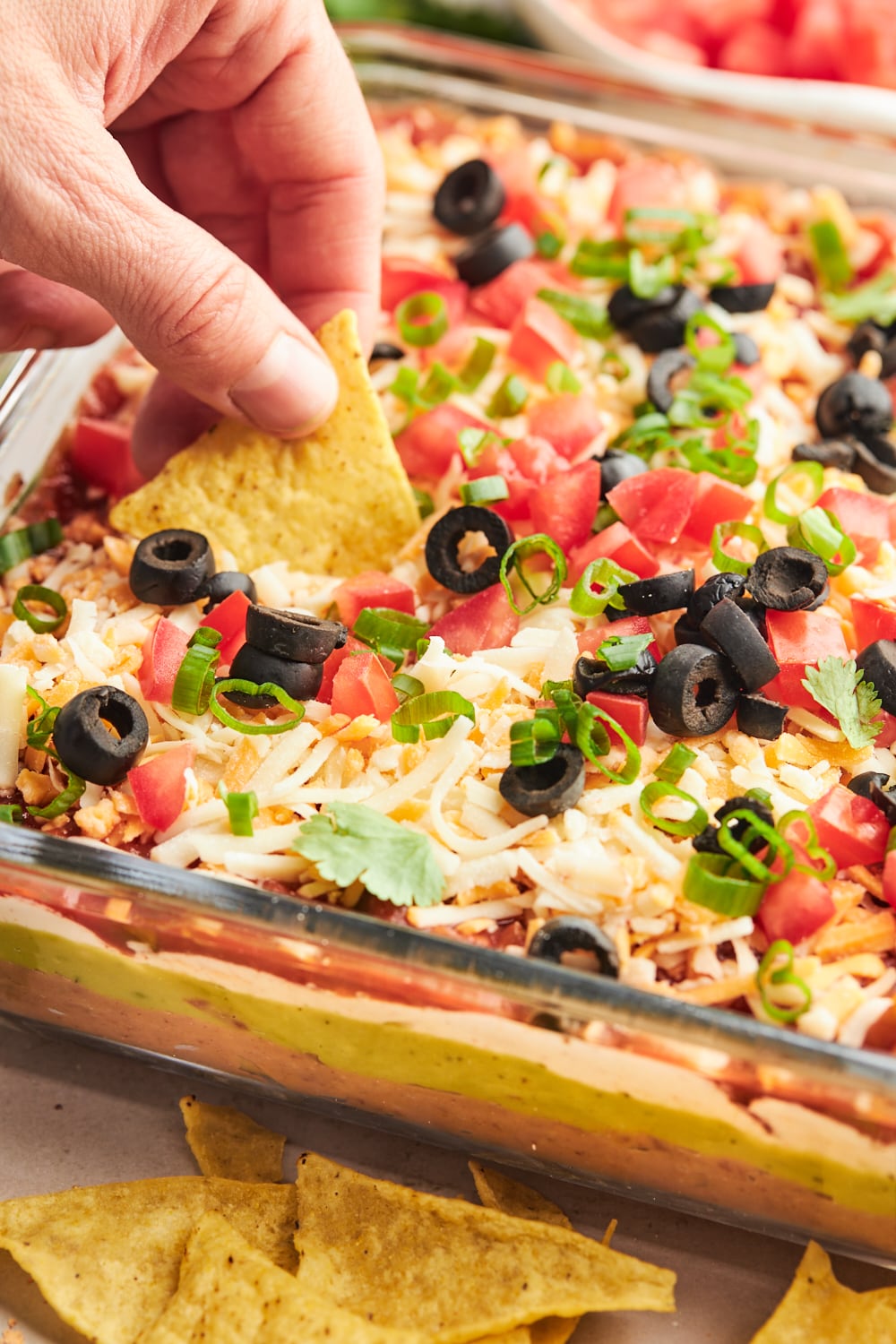 Layered Taco Dip