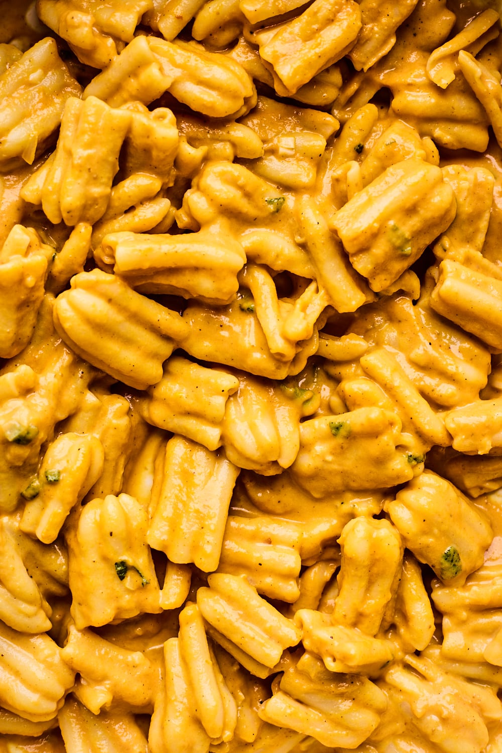 Creamy Pumpkin Pasta