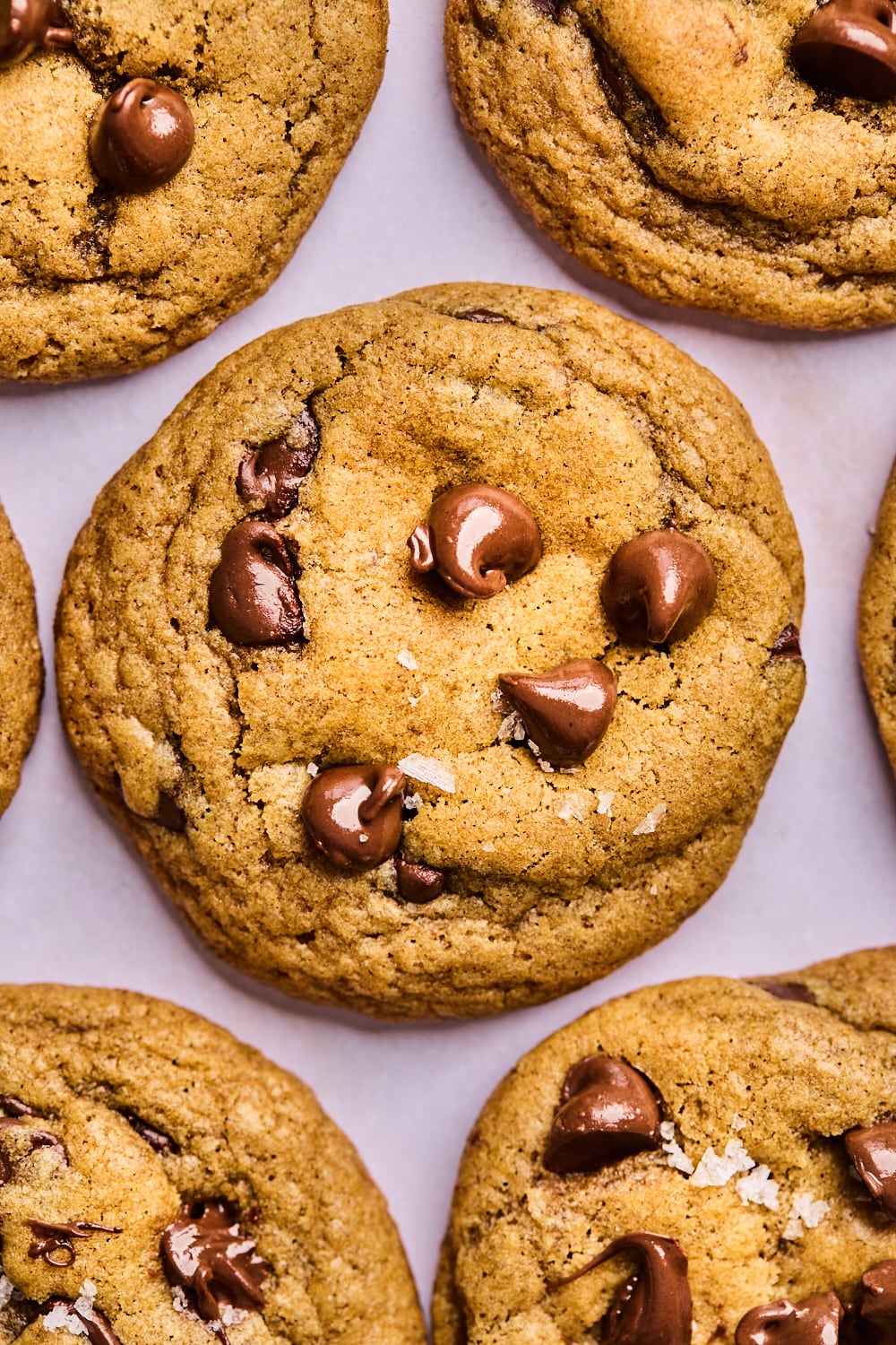 Pumpkin Chocolate Chip Cookies