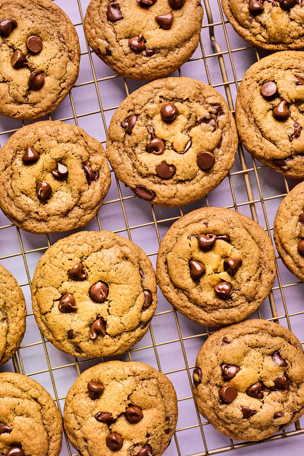 Pumpkin Chocolate Chip Cookies