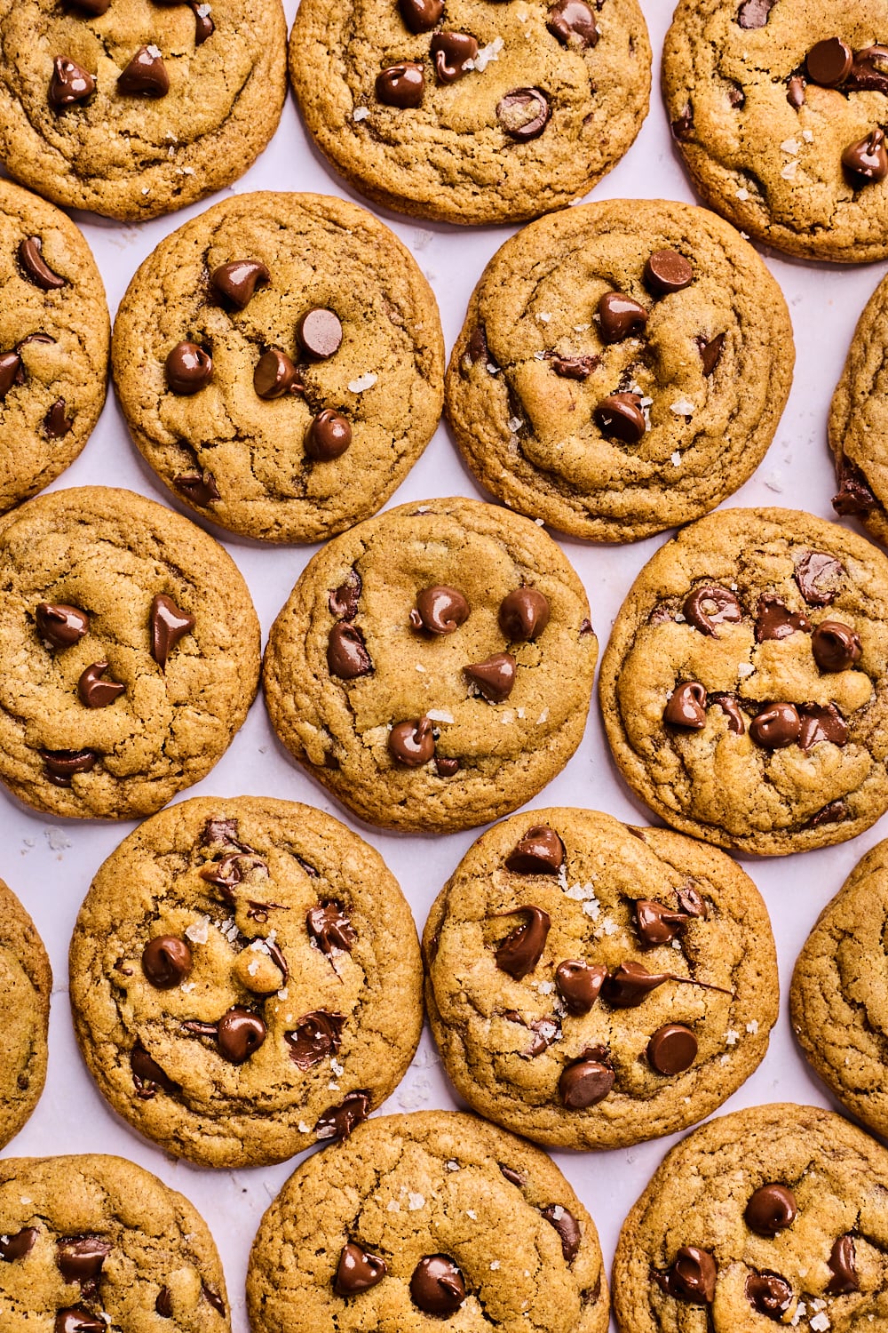 Pumpkin Chocolate Chip Cookies