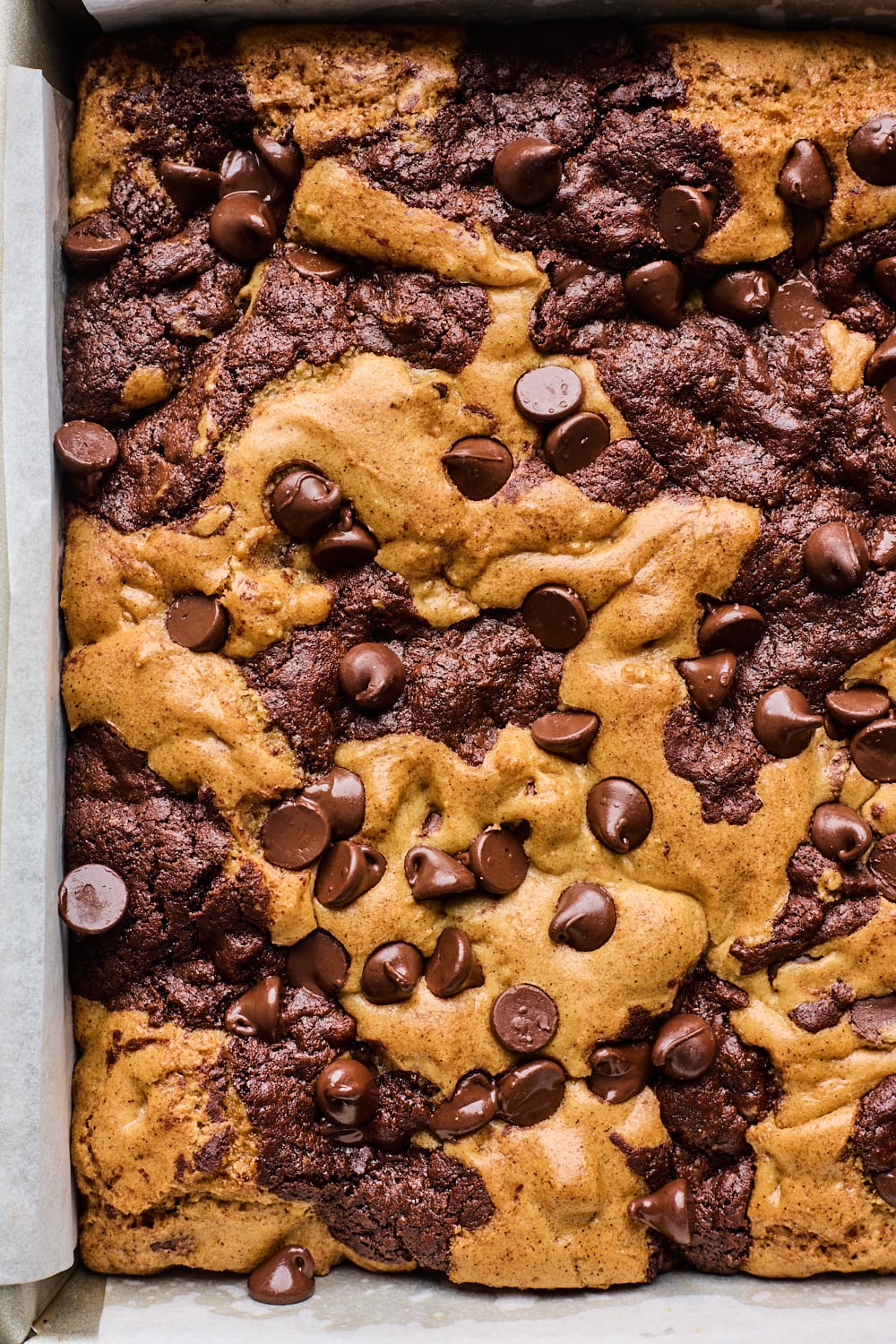 Homemade Chocolate Chip Brookies