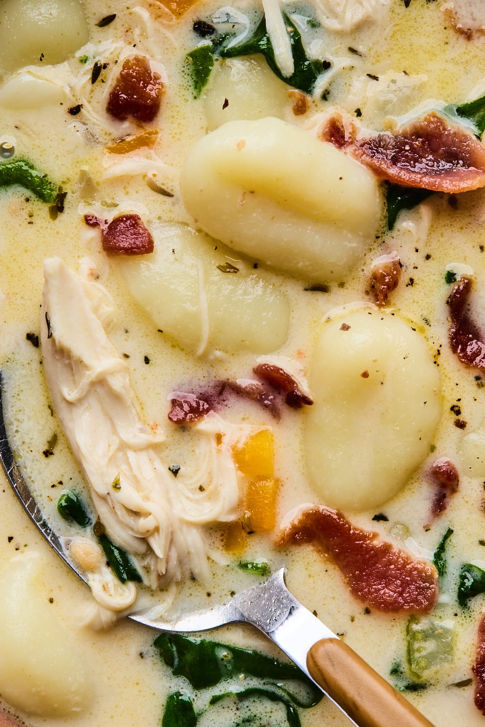 Chicken Gnocchi Soup