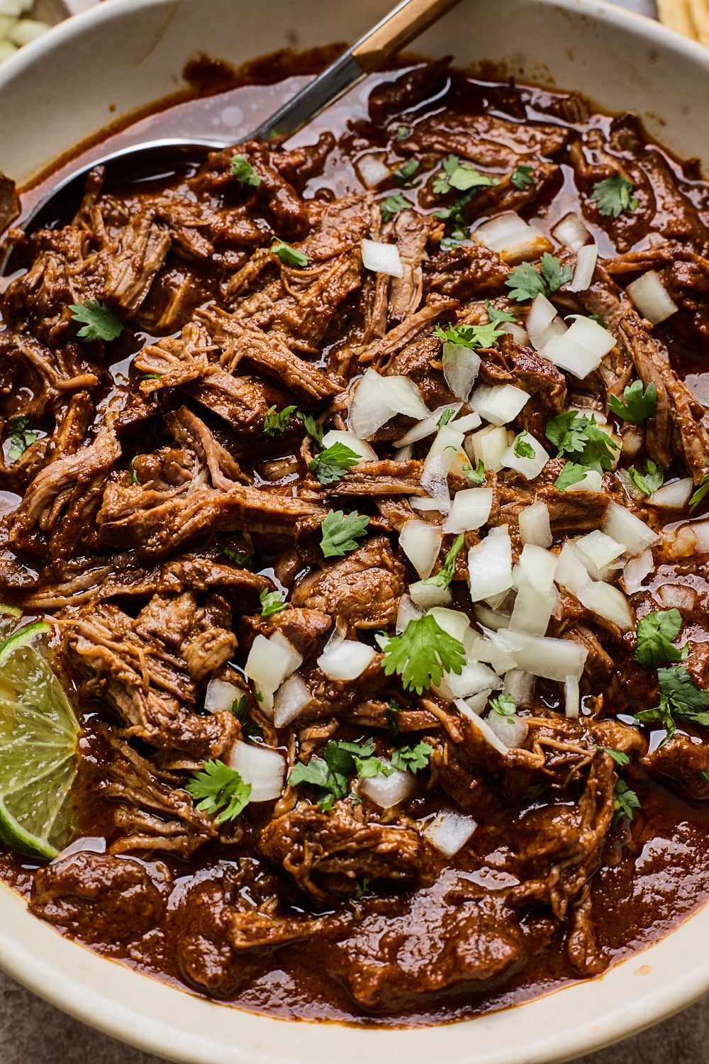 Simple Beef Birria up close