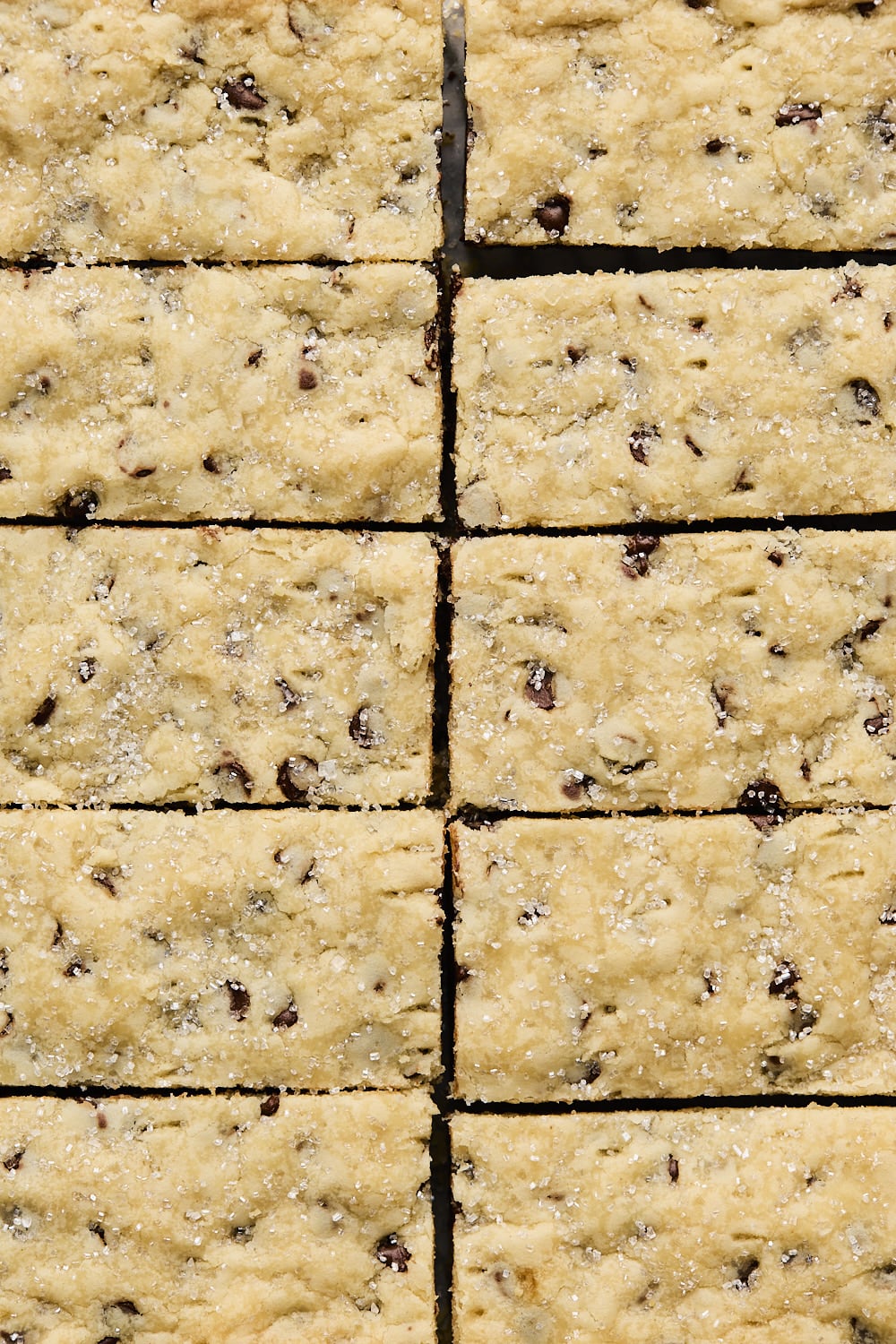 Chocolate Chip Shortbread Cookies