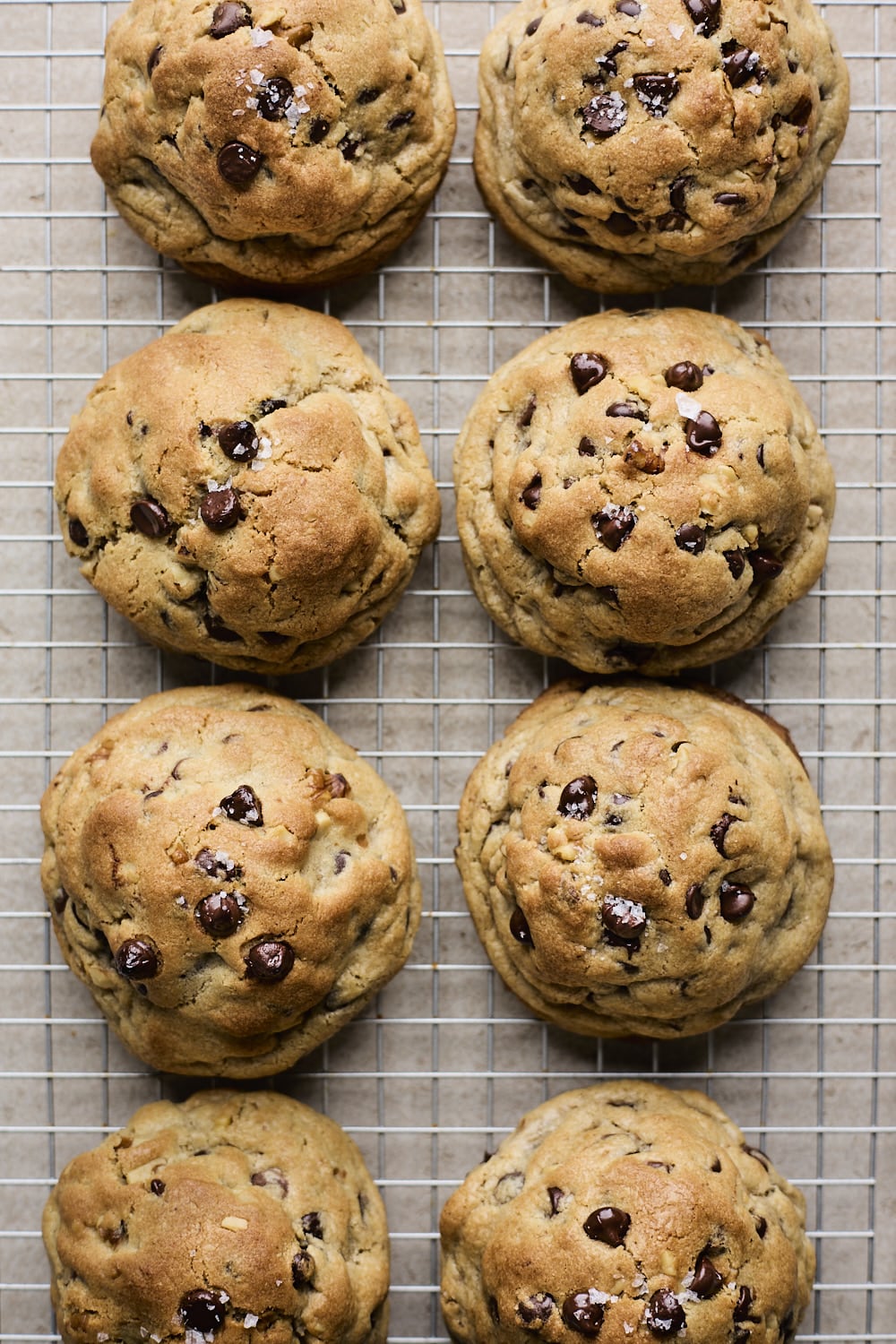 Giant New York Style (Levain bakery) Chocolate Chip Cookies