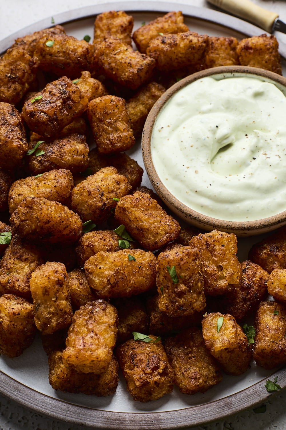 Seasoned Tater Tots With Sour Cream Chile Dip