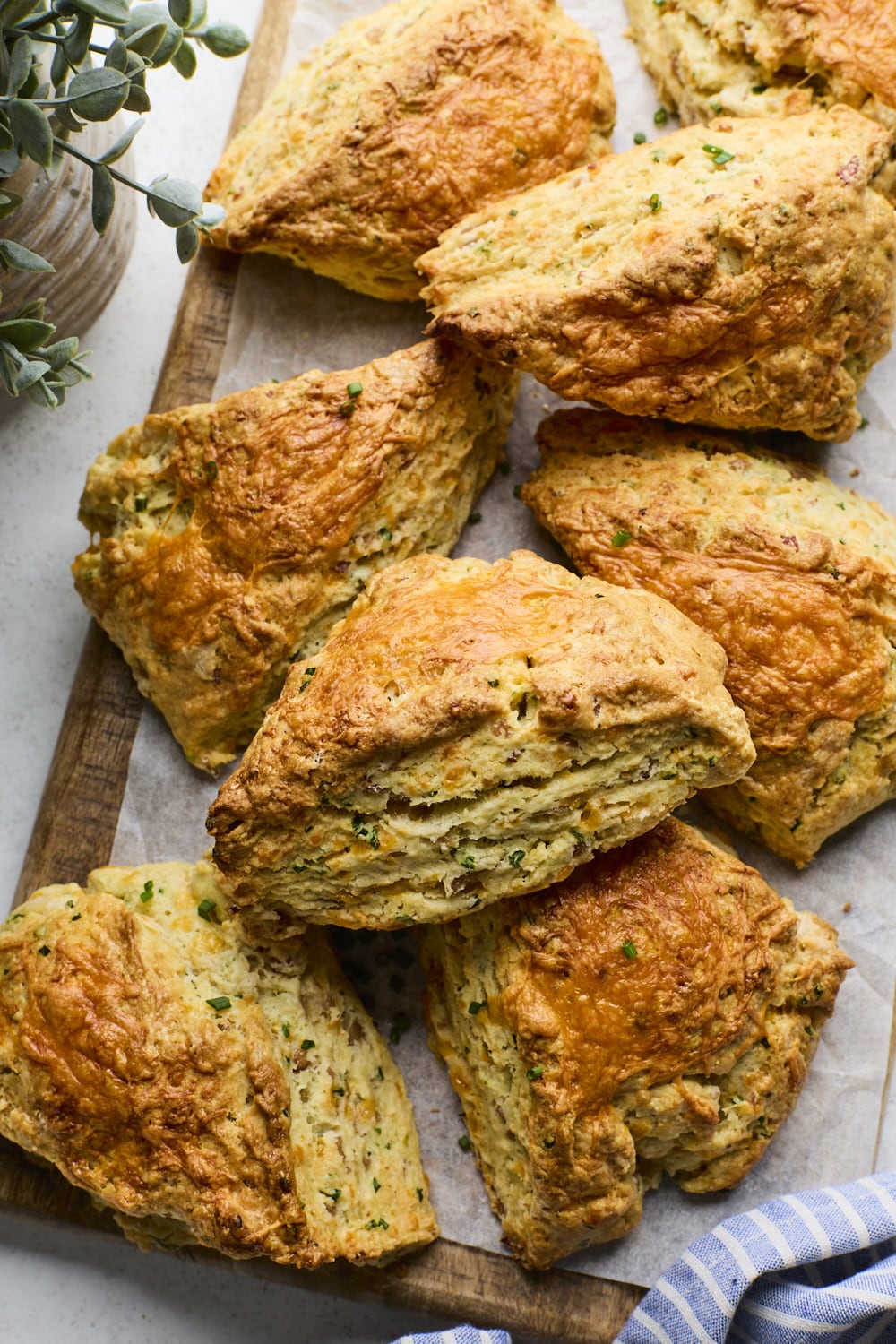 Bakery Style Ham and Cheddar Scones