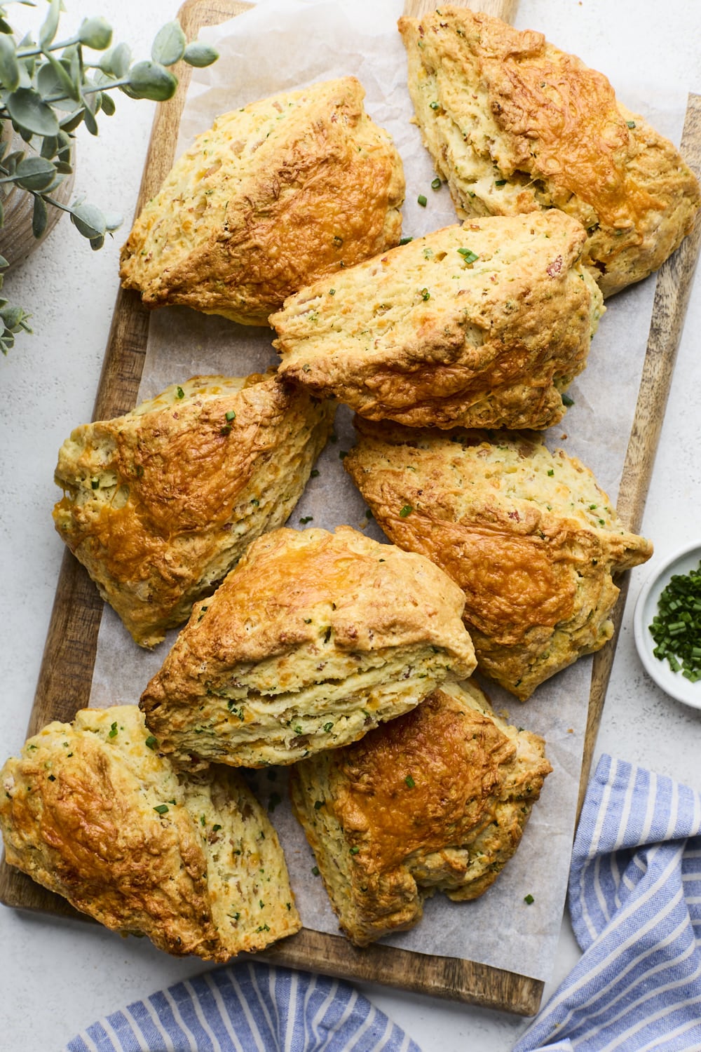 Bakery Style Ham and Cheddar Scones