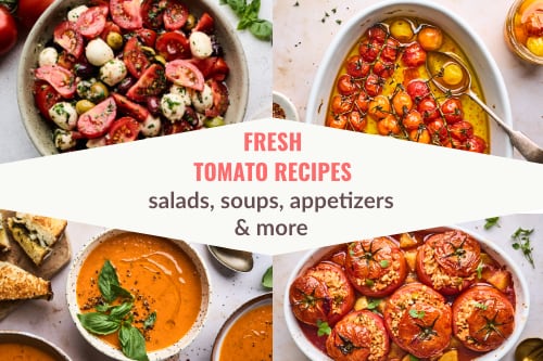 Fresh Tomato Recipes